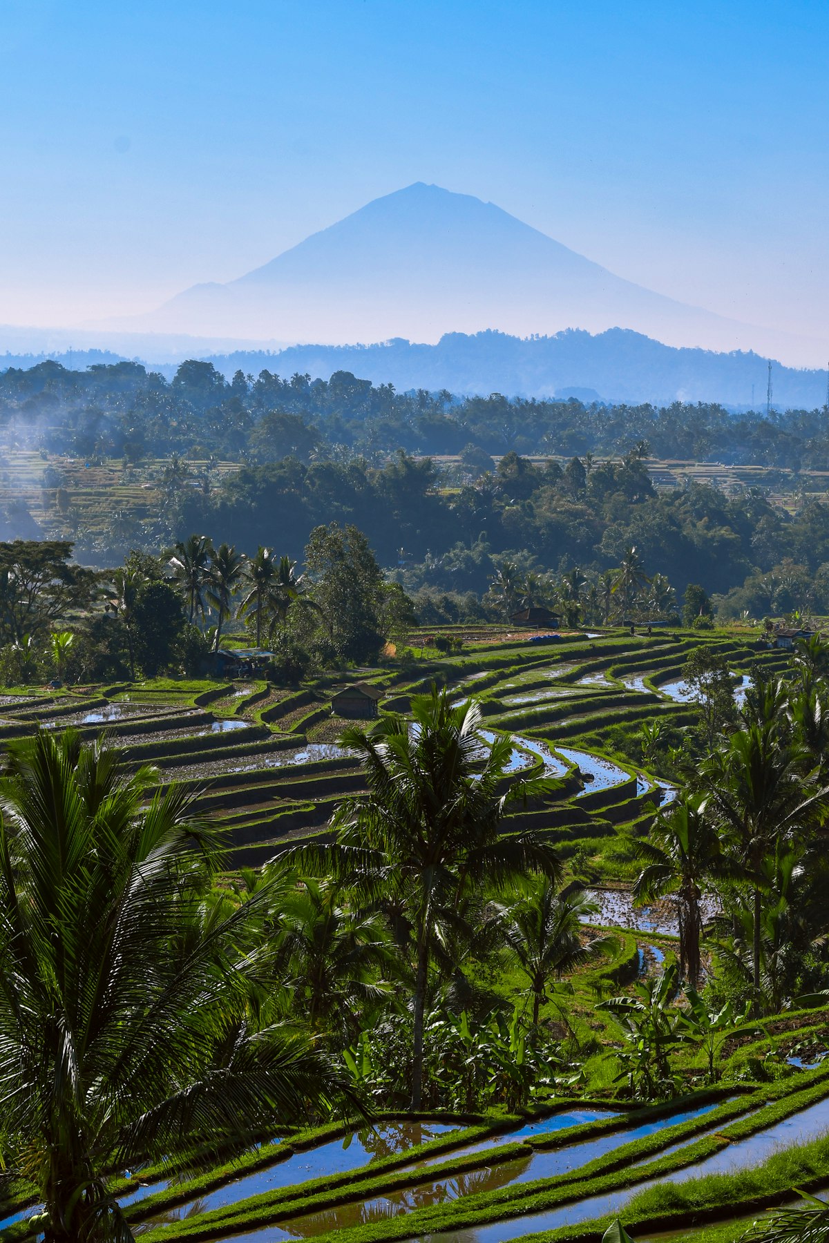 Jatiluwih rice terraces in Tabanan, the setting for this Bali property investment